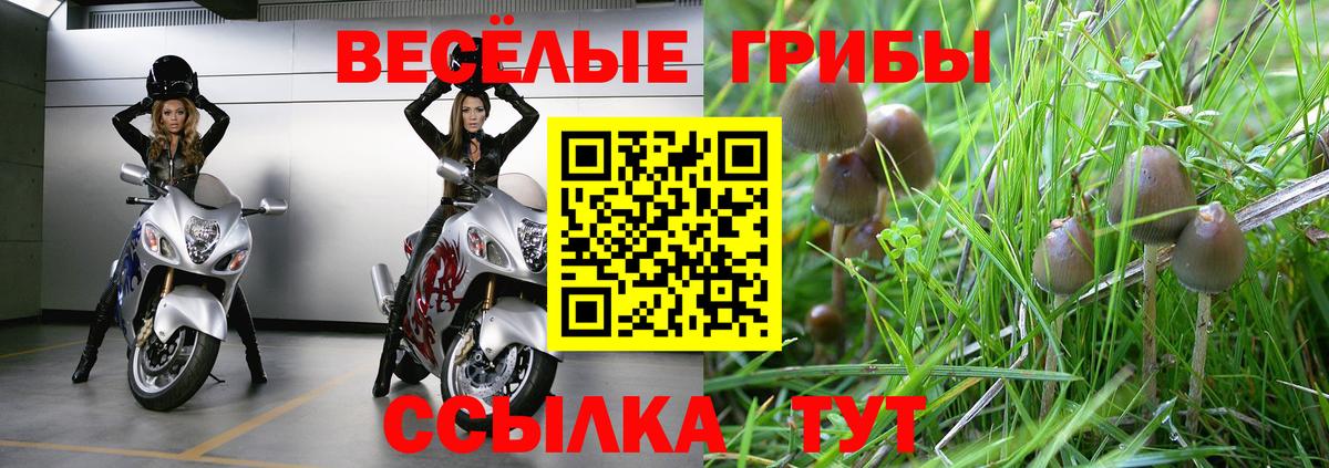 Галлюциногенные грибы Psilocybe  Вход с VPN  Красноуфимск  сколько стоит  Псилоцибиновые грибы прущие грибы 